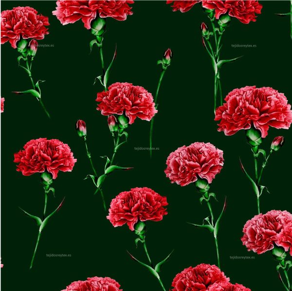 DOLCHEBEL, CLAVEL LICRA